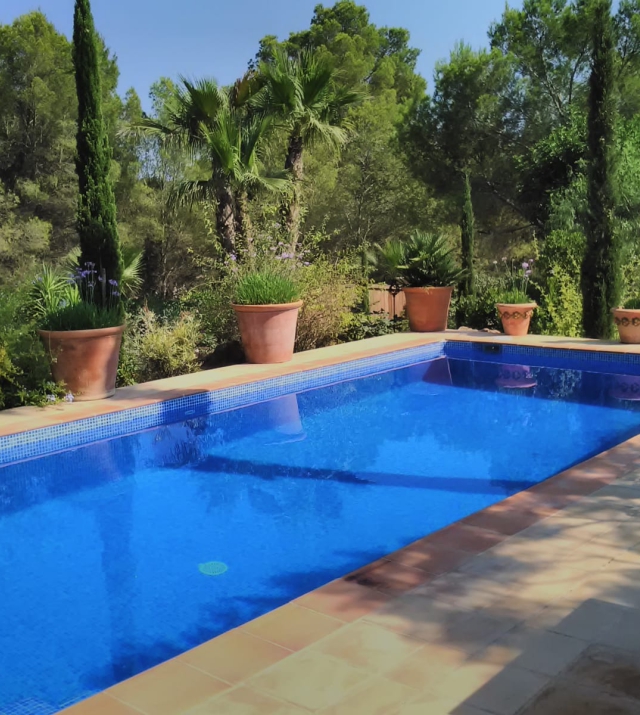 resa estates rental villa family ibiza betsy finca pool private .jpg